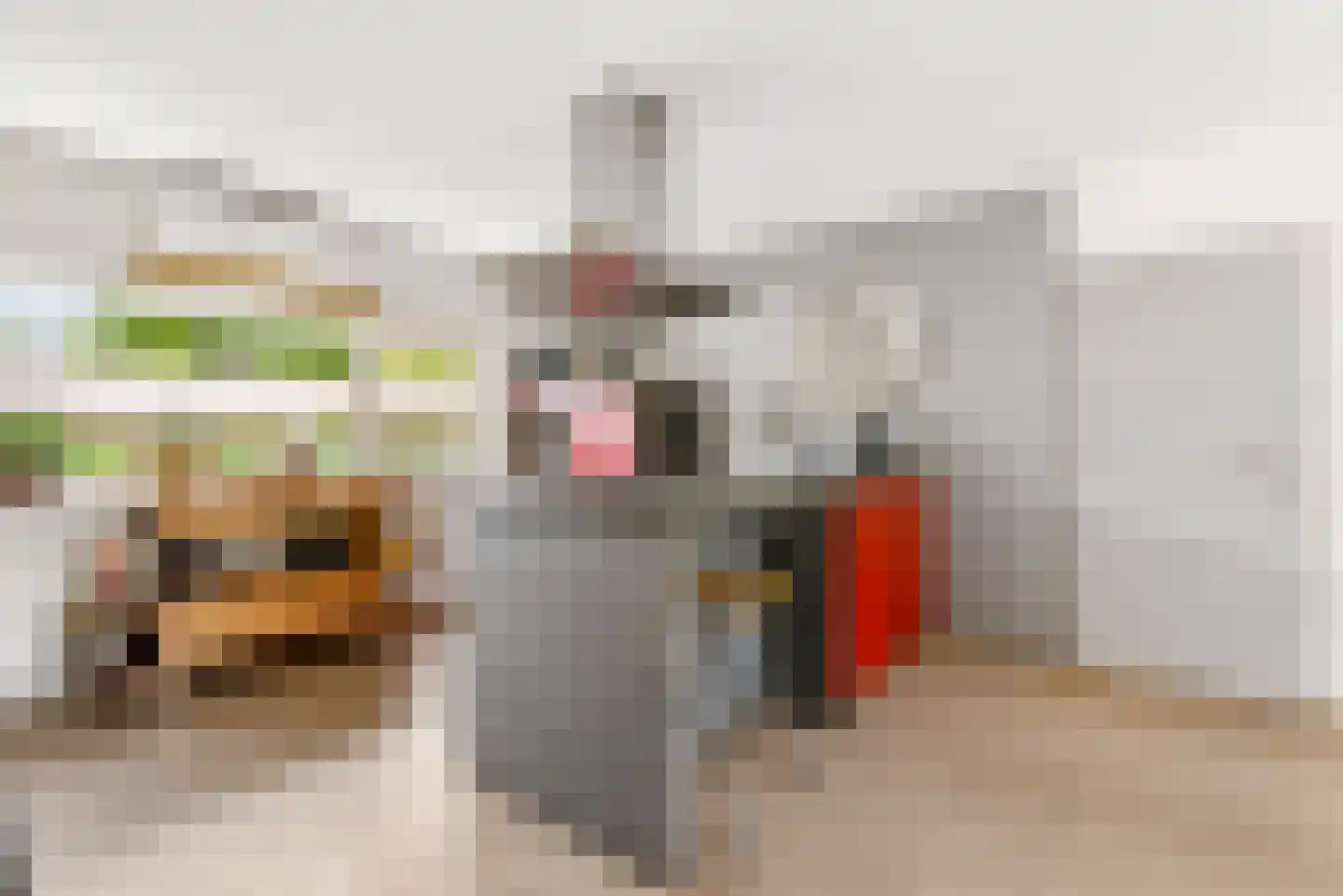 Gaasp 3 Zwolle thumbnail 21