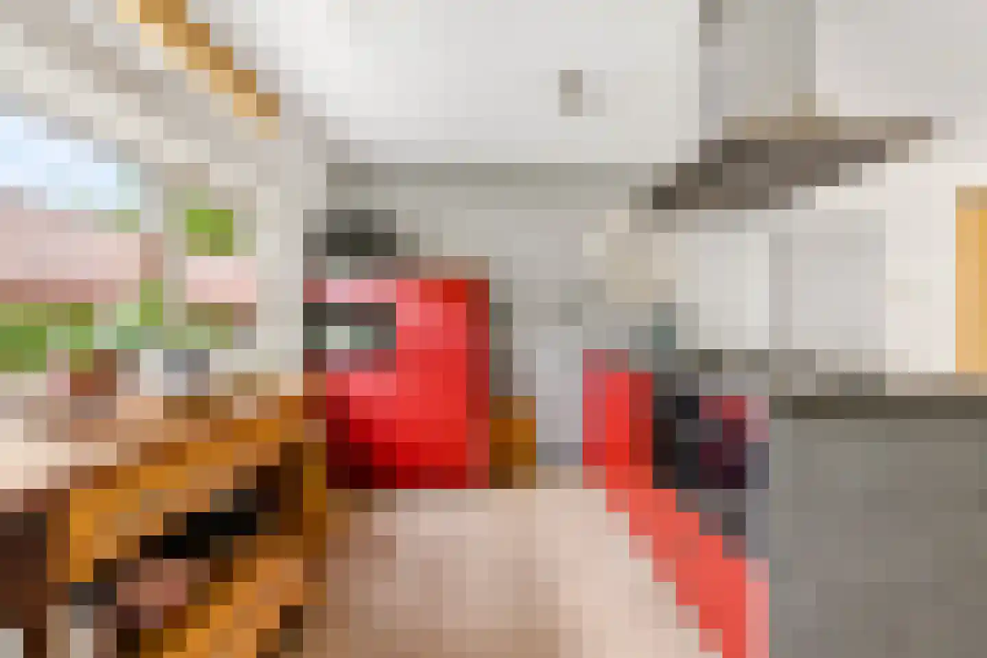 Gaasp 3 Zwolle thumbnail 22