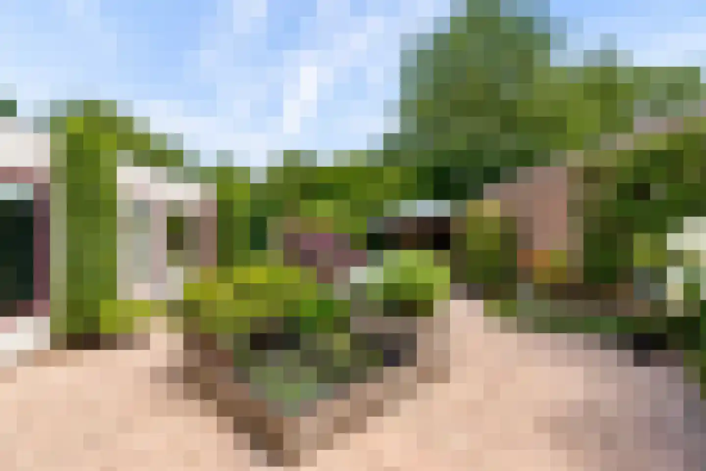 Gaasp 3 Zwolle thumbnail 44