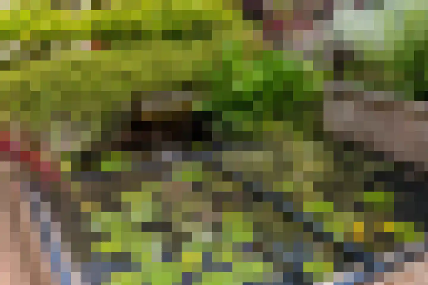 Gaasp 3 Zwolle thumbnail 46