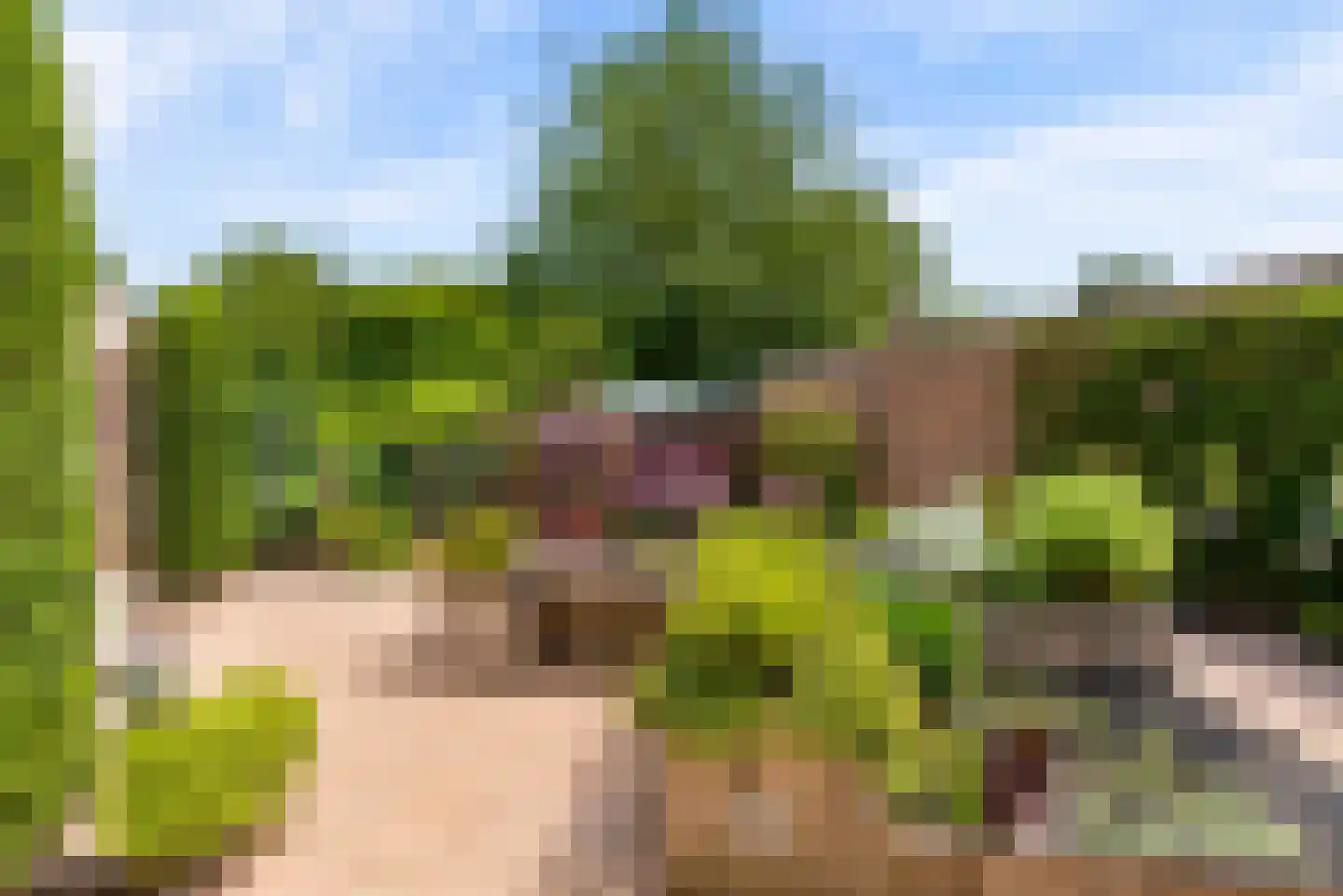 Gaasp 3 Zwolle thumbnail 47