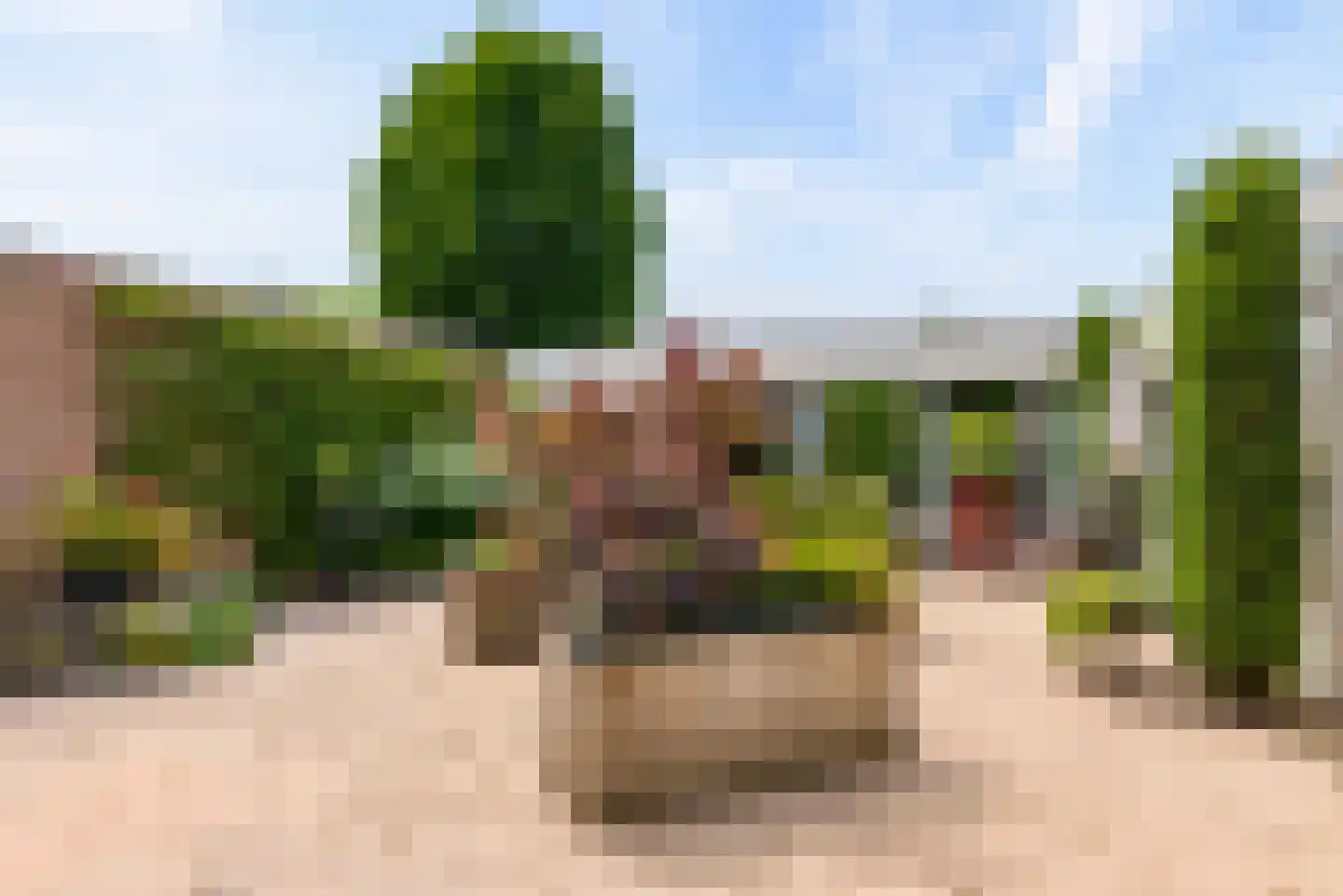 Gaasp 3 Zwolle thumbnail 50