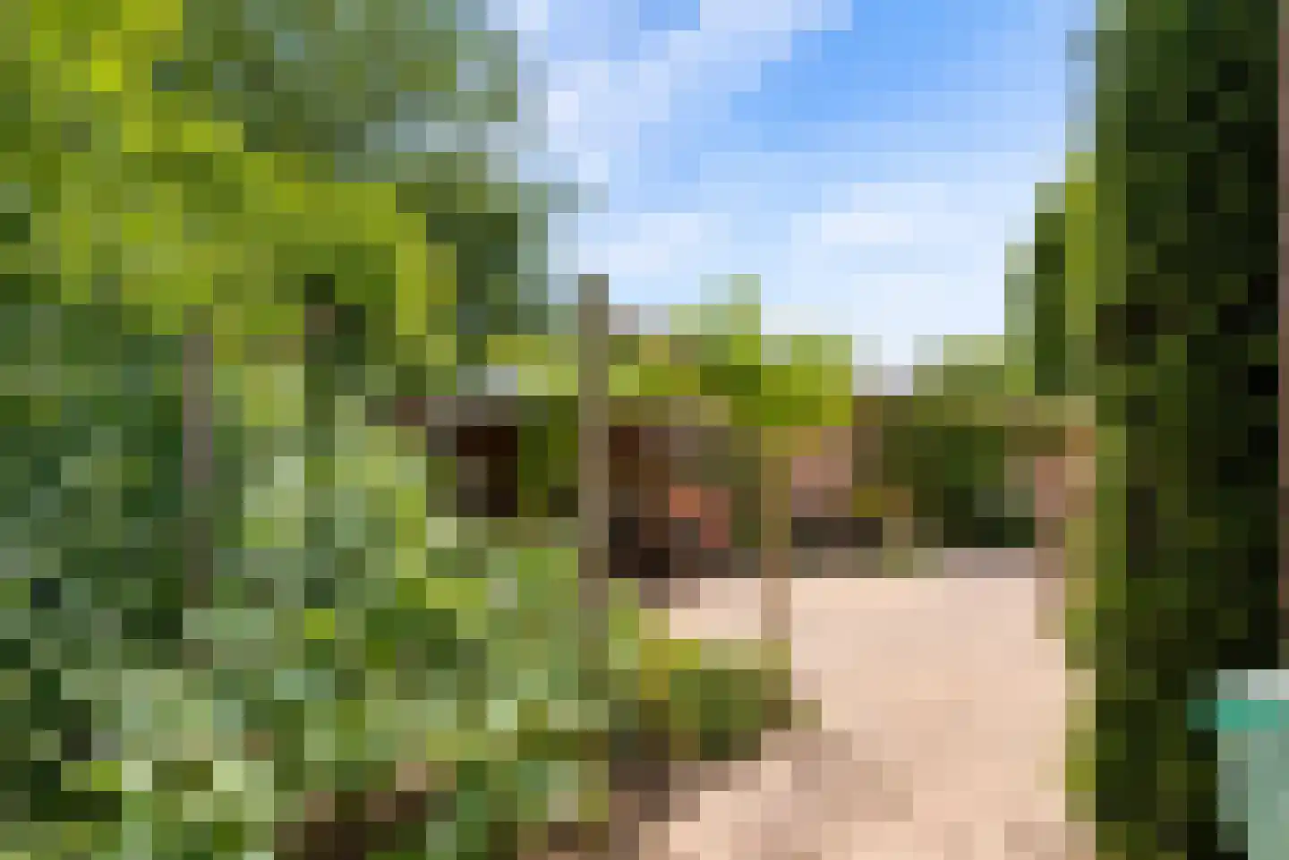 Gaasp 3 Zwolle thumbnail 51