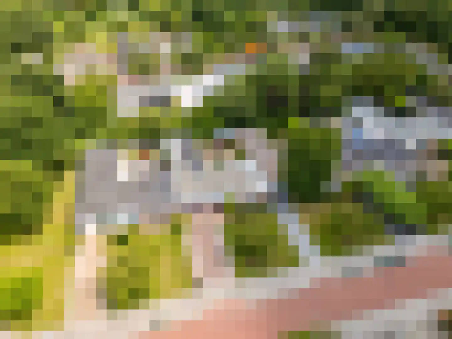 Gaasp 3 Zwolle thumbnail 58