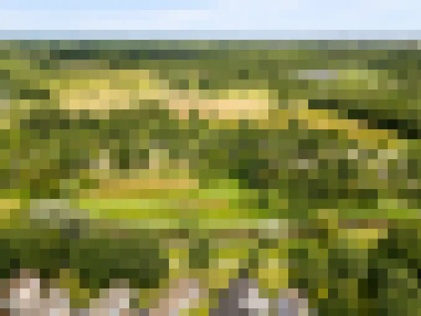 Gaasp 3 Zwolle thumbnail 67
