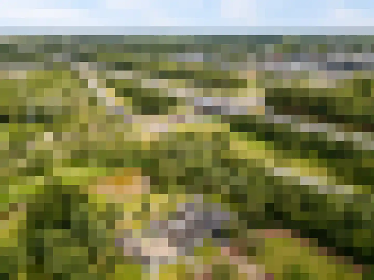 Gaasp 3 Zwolle thumbnail 68