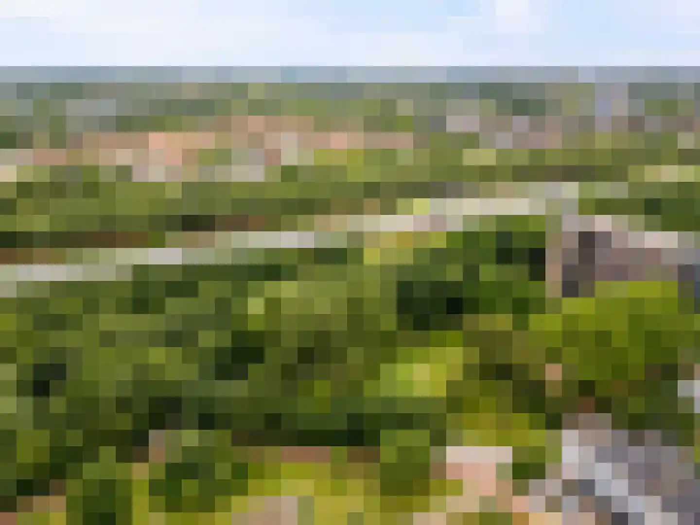 Gaasp 3 Zwolle thumbnail 69