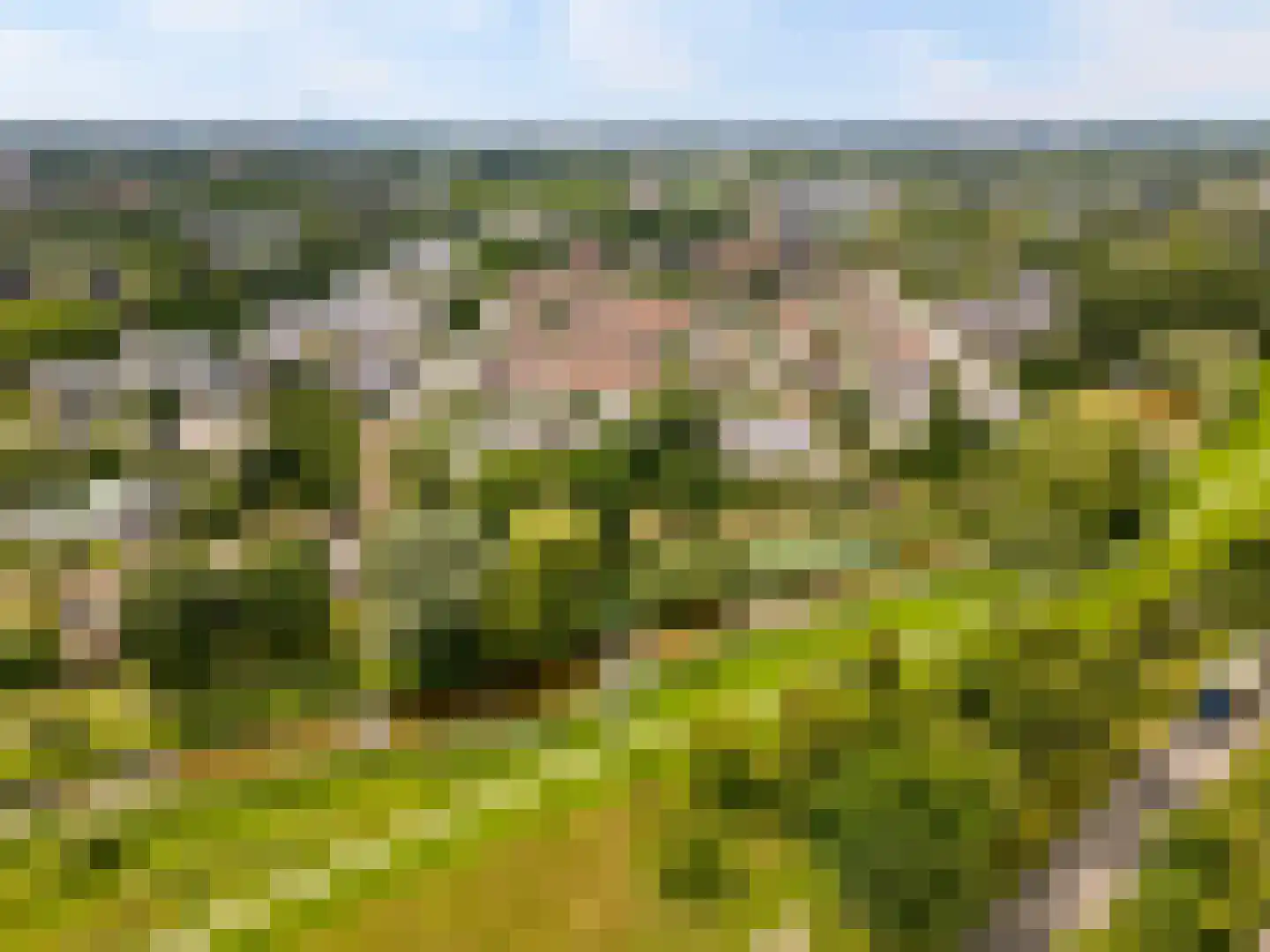 Gaasp 3 Zwolle thumbnail 71