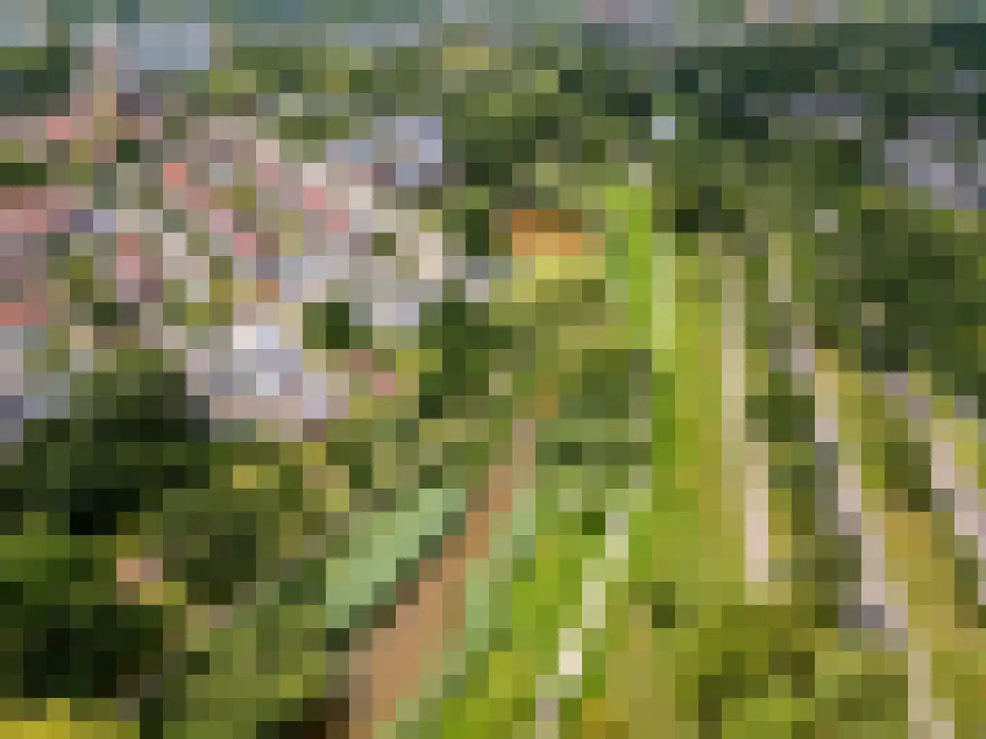 Gaasp 3 Zwolle thumbnail 72