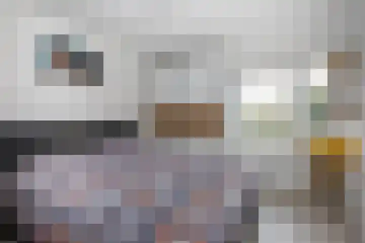 Gaasp 9 Rotterdam thumbnail 15