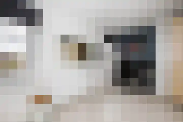 Gaasp 9 Rotterdam thumbnail 25