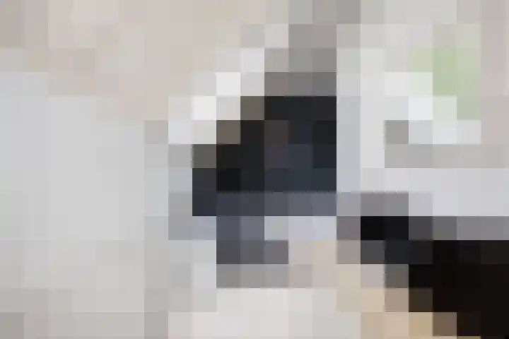 Gaasp 9 Rotterdam thumbnail 26
