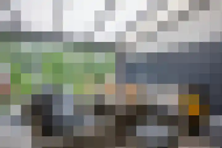 Gaasp 9 Rotterdam thumbnail 29
