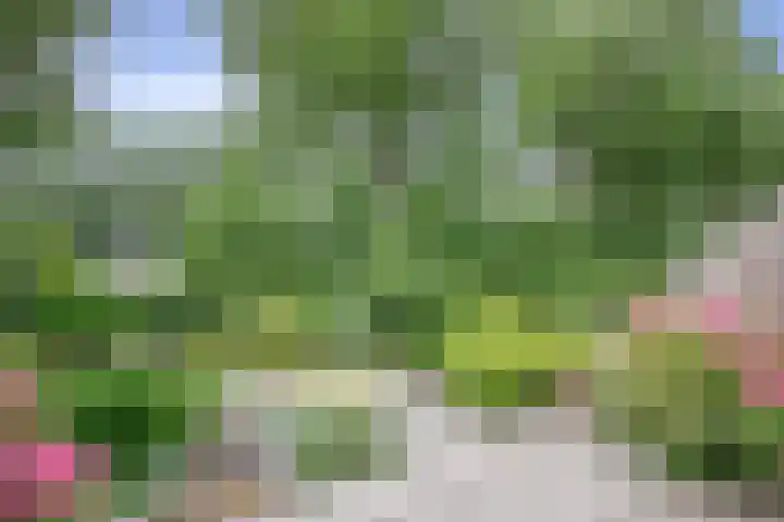 Gaasp 9 Rotterdam thumbnail 30