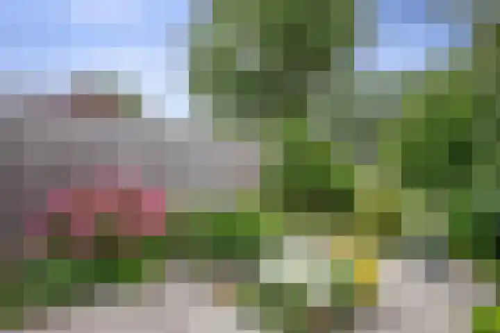 Gaasp 9 Rotterdam thumbnail 31