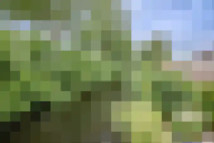 Gaasp 9 Rotterdam thumbnail 32