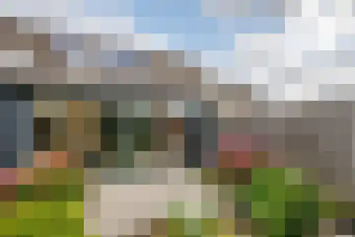 Gaasp 9 Rotterdam thumbnail 33