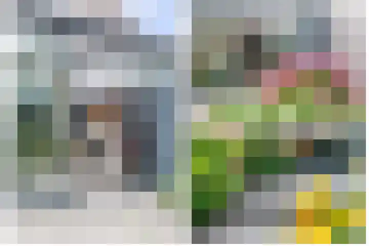 Gaasp 9 Rotterdam thumbnail 34