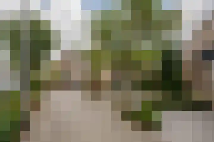 Gaasp 9 Rotterdam thumbnail 37