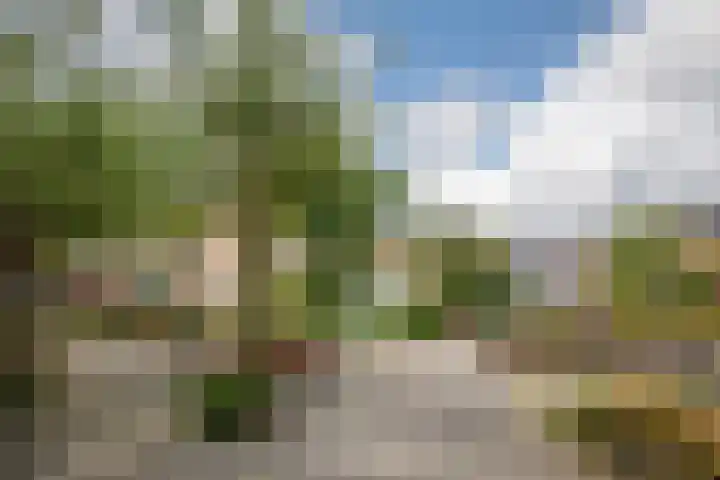 Gaasp 9 Rotterdam thumbnail 40