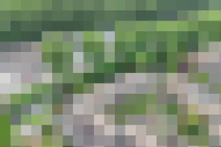 Gaasp 9 Rotterdam thumbnail 45