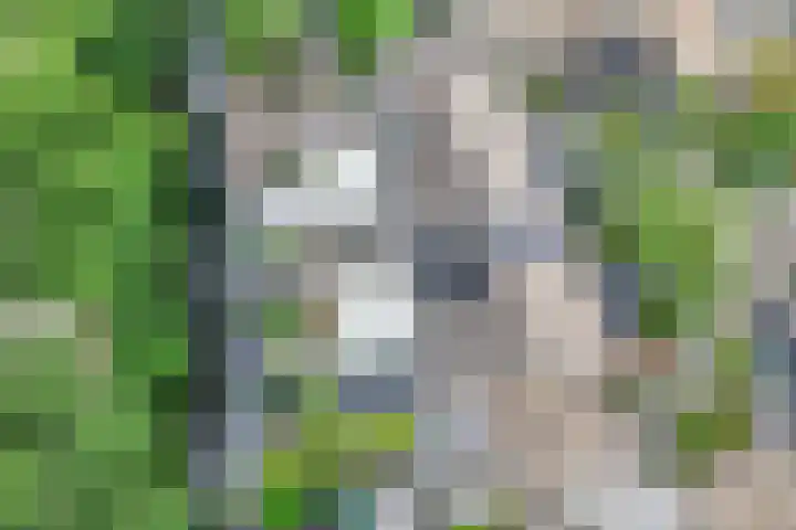 Gaasp 9 Rotterdam thumbnail 46