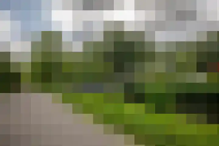 Gaasp 9 Rotterdam thumbnail 51