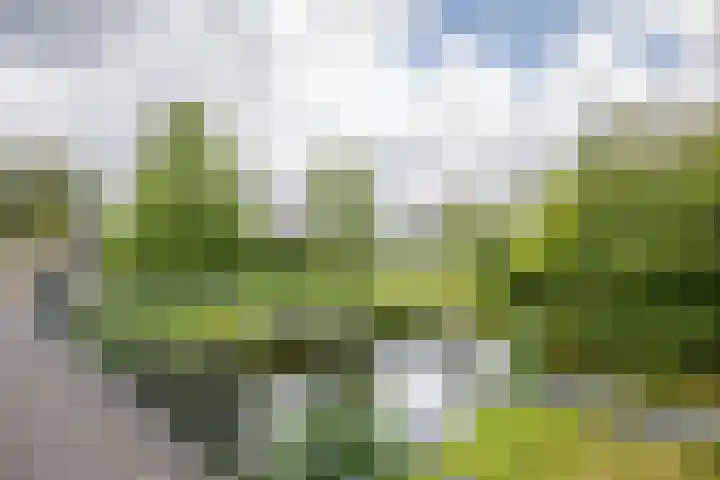 Gaasp 9 Rotterdam thumbnail 52