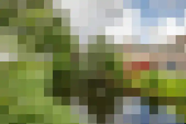 Gaasp 9 Rotterdam thumbnail 53