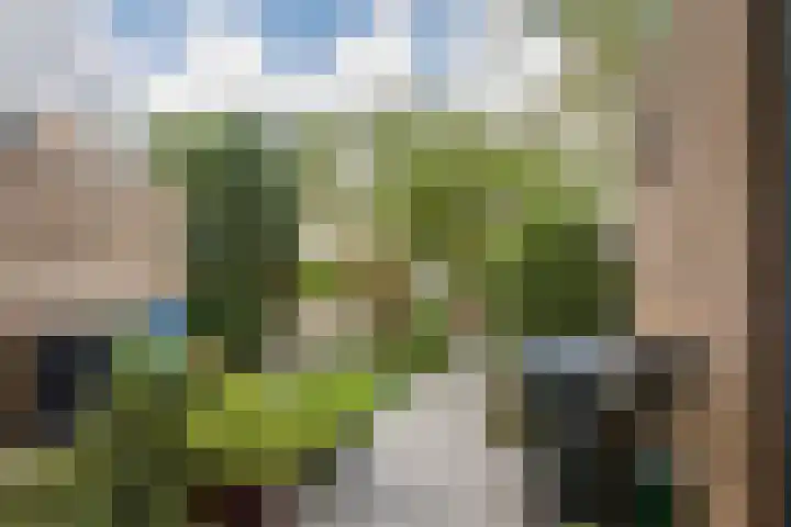 Gaasp 9 Rotterdam thumbnail 54