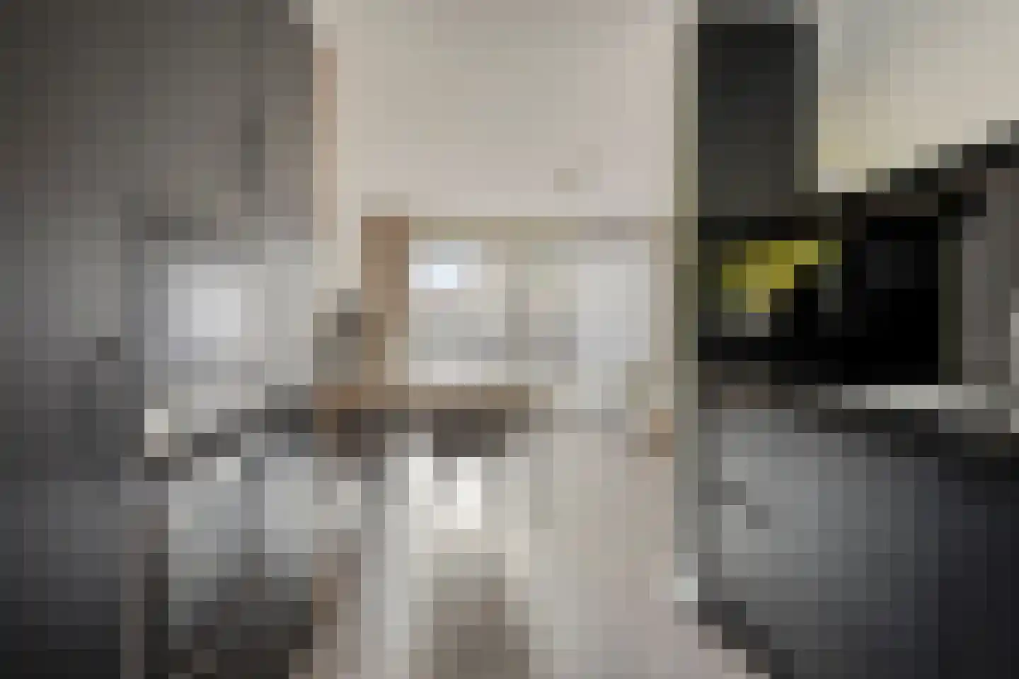 Gaasperdamstraat 28 Zaandam thumbnail 11