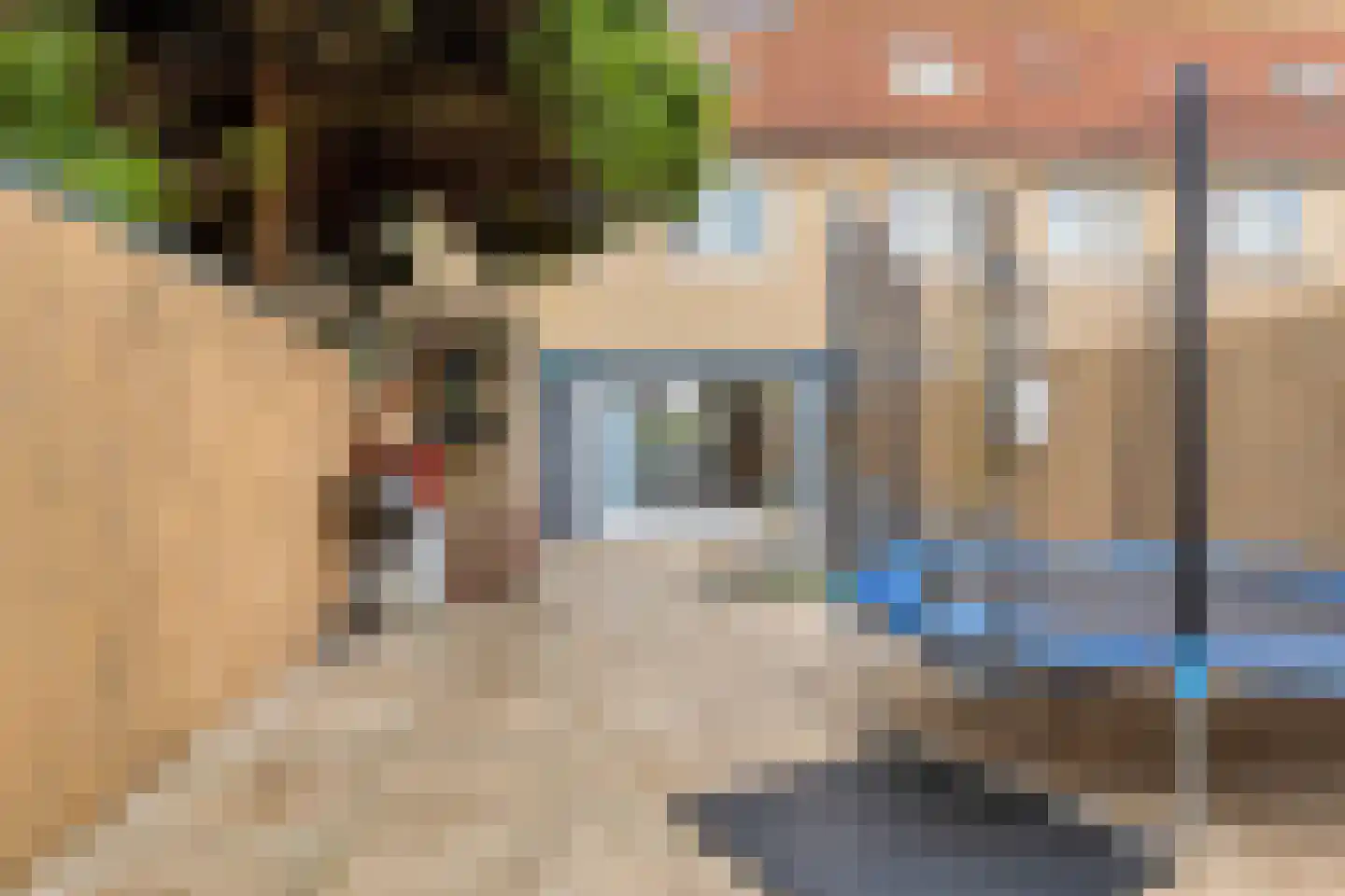 Gaasperdamstraat 28 Zaandam thumbnail 39
