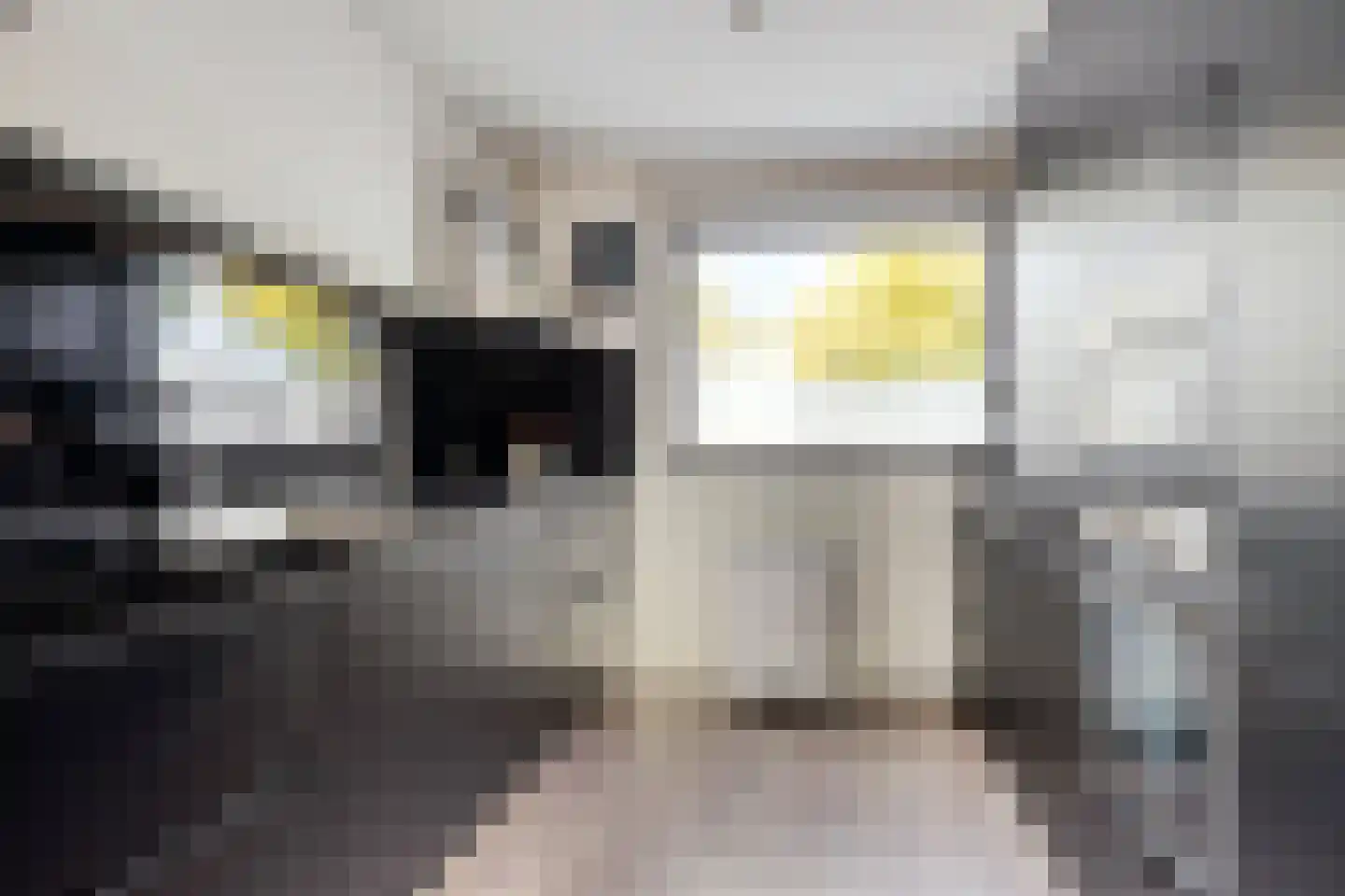 Gaasperdamstraat 28 Zaandam thumbnail 4