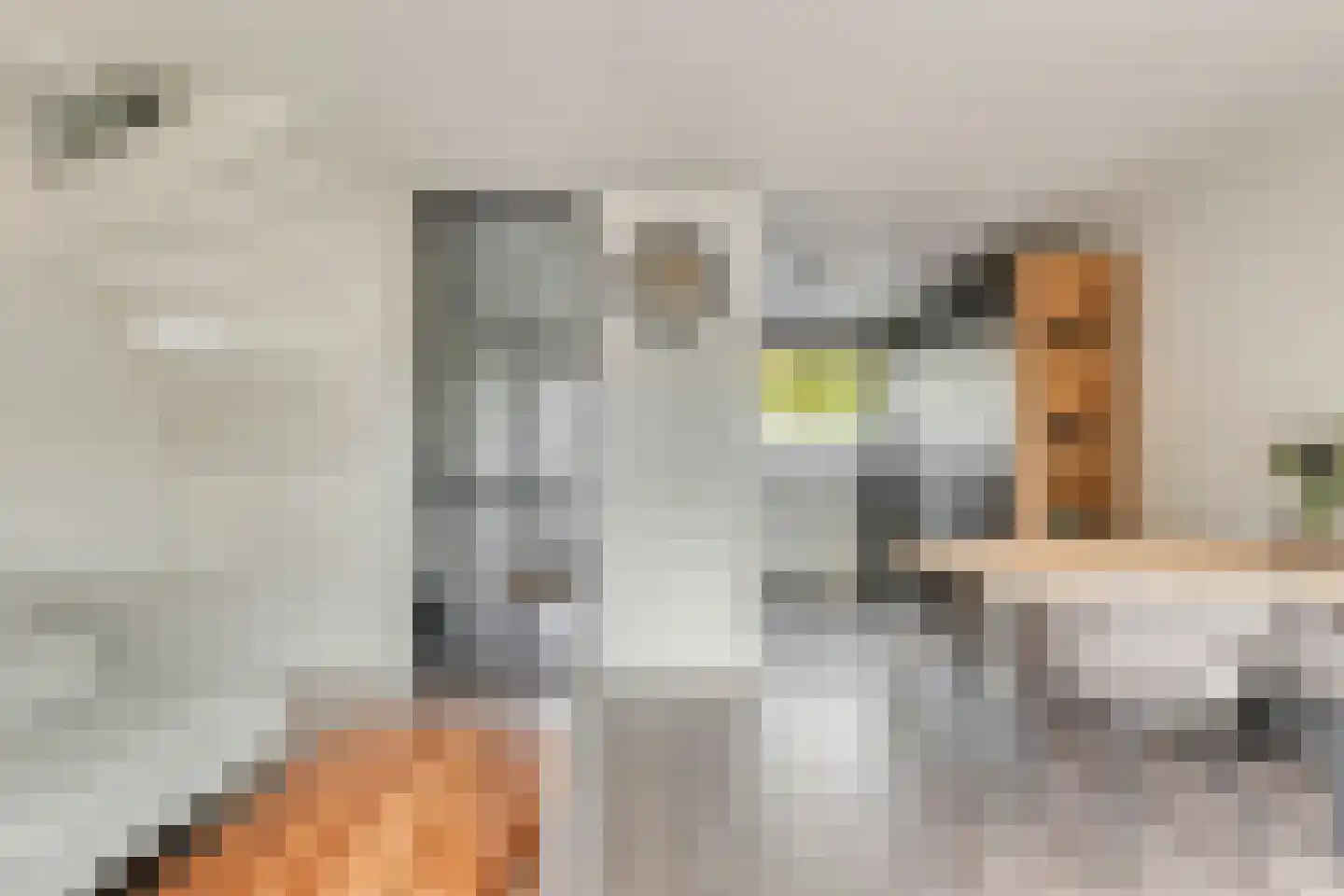 Gaasperdamstraat 28 Zaandam thumbnail 8