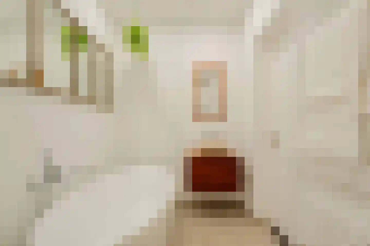 Gaaspstraat 27 1 Amsterdam thumbnail 34