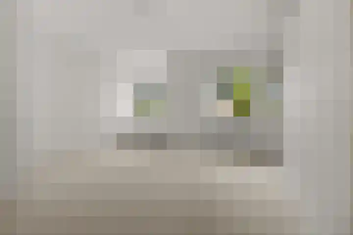 Gaaspstraat 3 1 Amsterdam thumbnail 5
