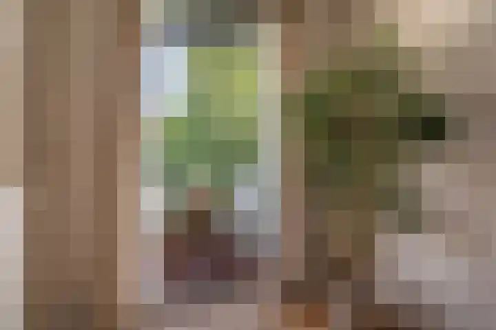 Gaaspstraat 7 2 Amsterdam thumbnail 17