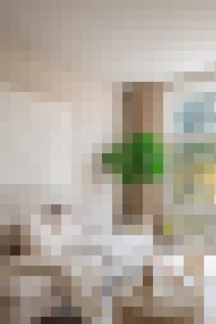 Gaaspstraat 7 2 Amsterdam thumbnail 8