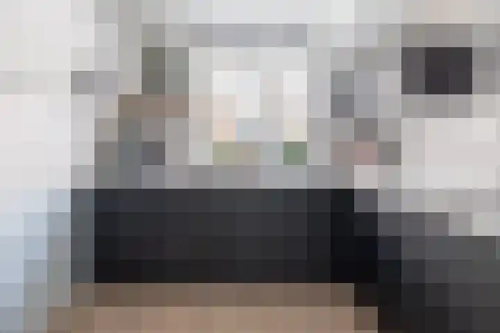 Gaast 15 Huizen thumbnail 12
