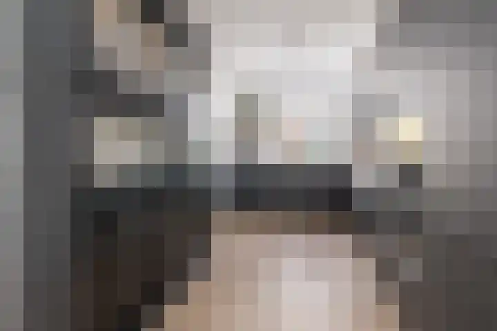 Gaast 15 Huizen thumbnail 13