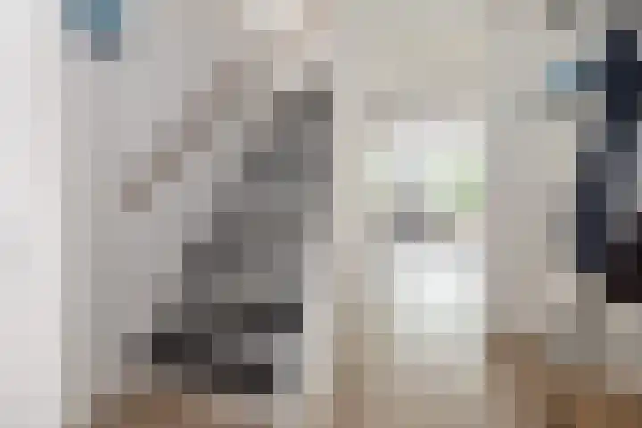 Gaast 15 Huizen thumbnail 15
