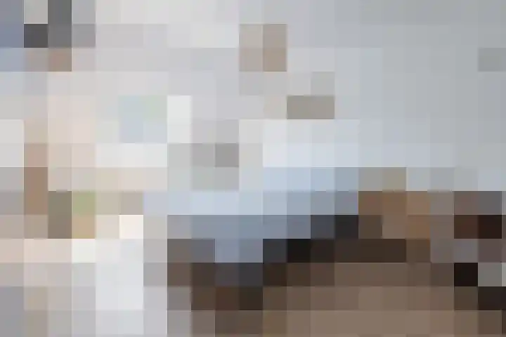 Gaast 15 Huizen thumbnail 16