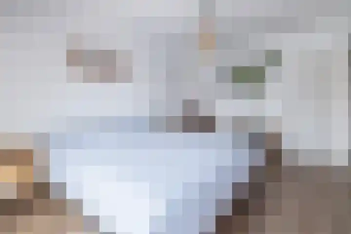 Gaast 15 Huizen thumbnail 18