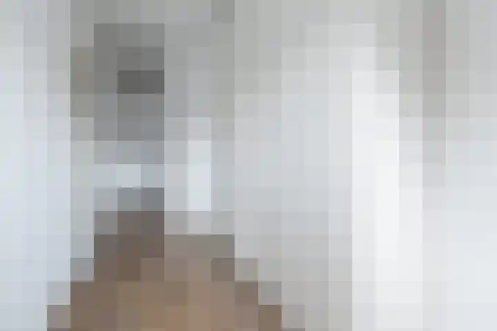 Gaast 15 Huizen thumbnail 20