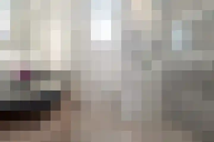 Gaast 15 Huizen thumbnail 23