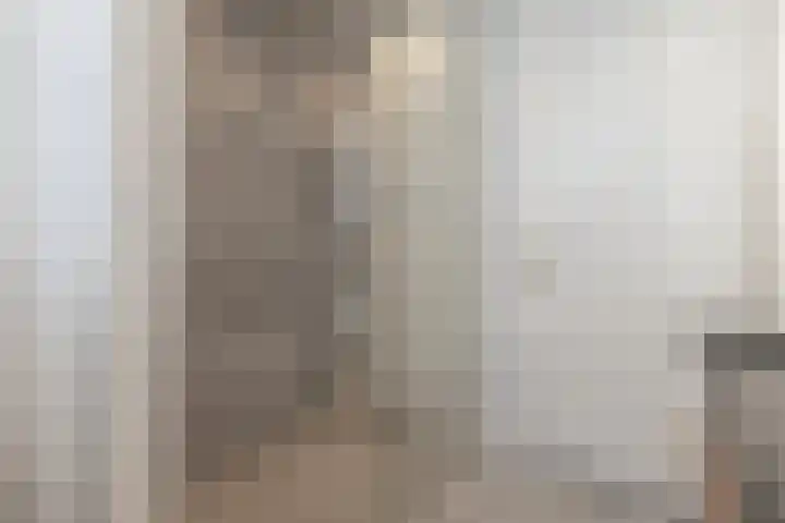 Gaast 15 Huizen thumbnail 24