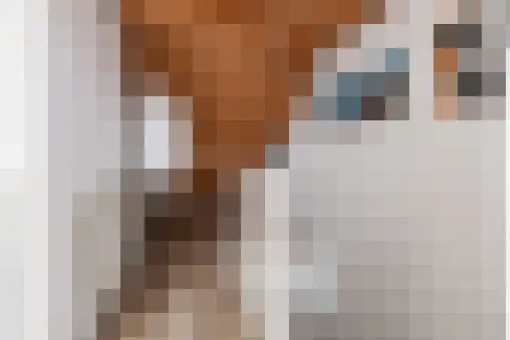 Gaast 15 Huizen thumbnail 30