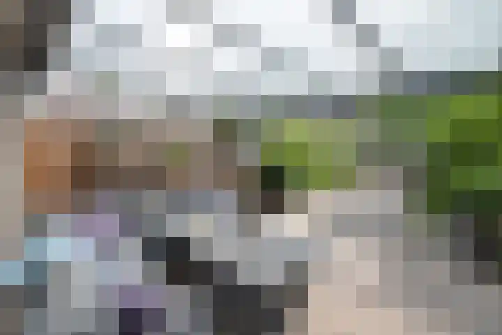 Gaast 15 Huizen thumbnail 31