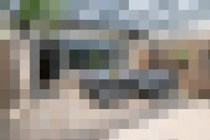 Gaast 15 Huizen thumbnail 32