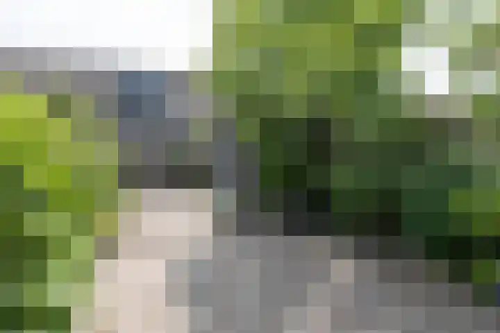 Gaast 15 Huizen thumbnail 36